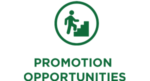 Promotion Opportunities